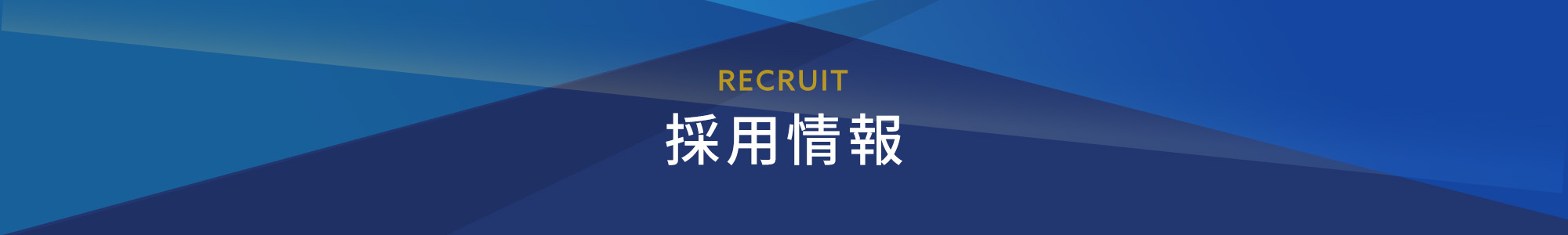 採用情報